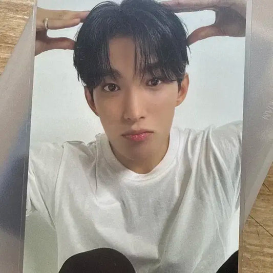 도겸이 포카 팔아요!!