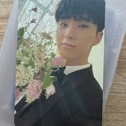 호시 포카 팝니다!!