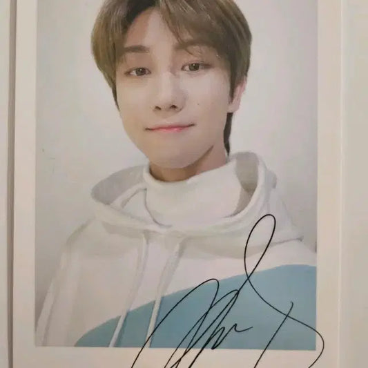 디에잇 20캐랜 짭폴라