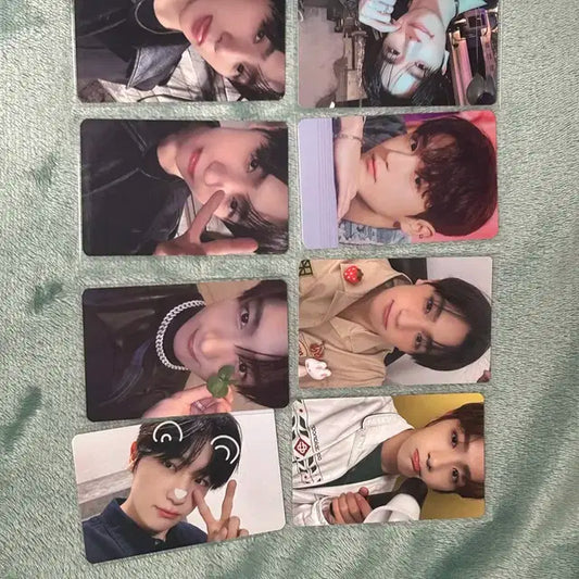 더보이즈 현재 포카 일괄