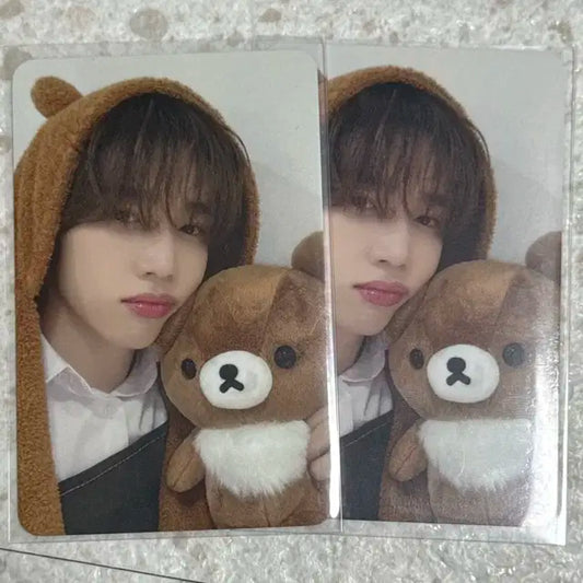 더보이즈 선우 포카
