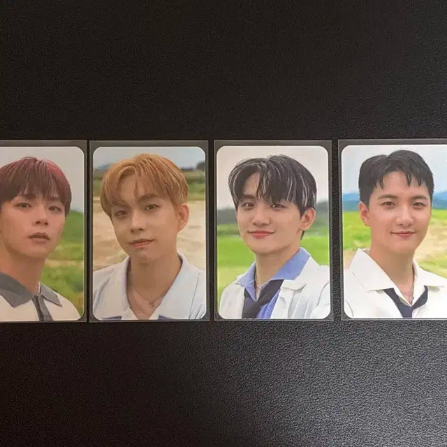 루시 가차 포토카드 일괄