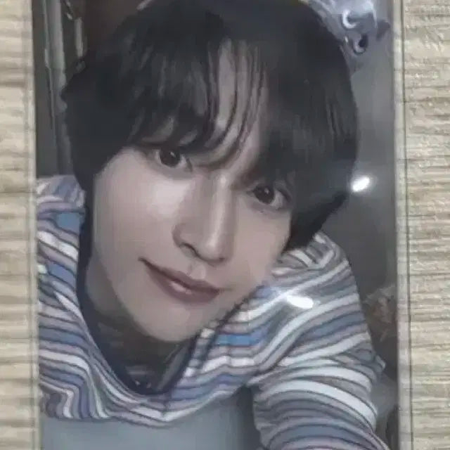 라이즈 원빈 포카