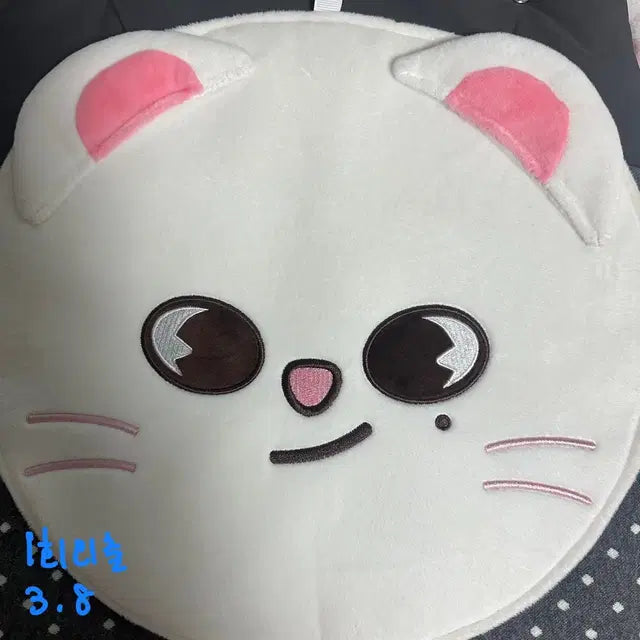 스트레이키즈 스키주 지니렛 우치와 커버