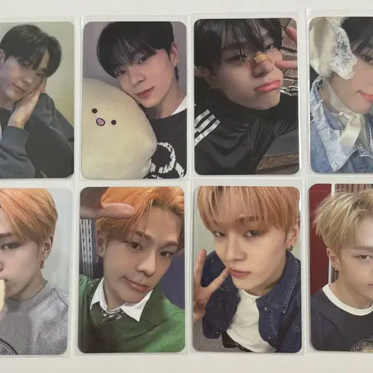 휘브 WHIB 제이더 김준민 미공포 앨포 앨범포카 판매 양도