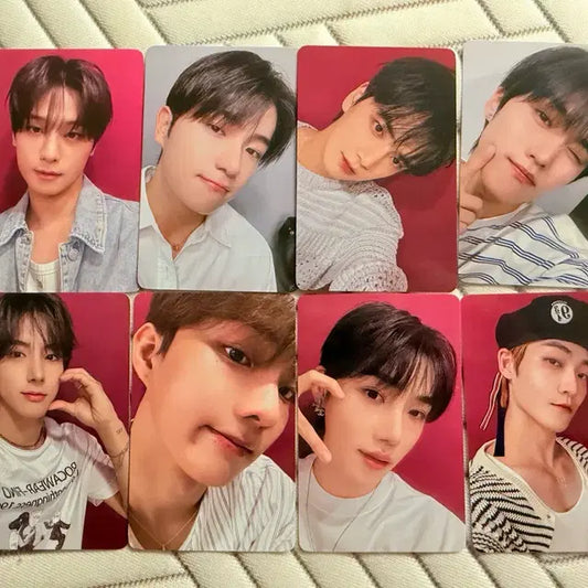 더보이즈 막콘 입장포카