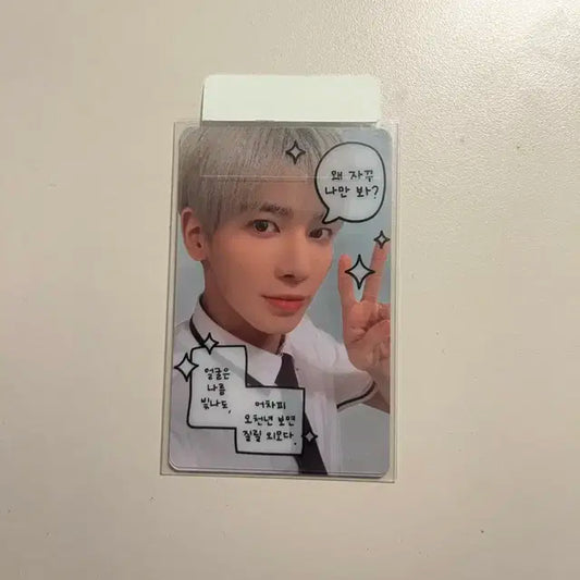 급처) 쇼피 태현