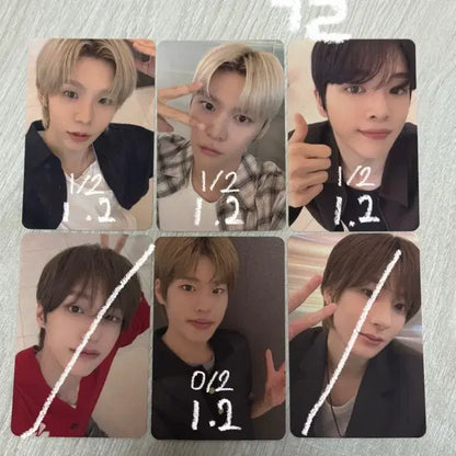 라이즈 팬싸 미공포 분철