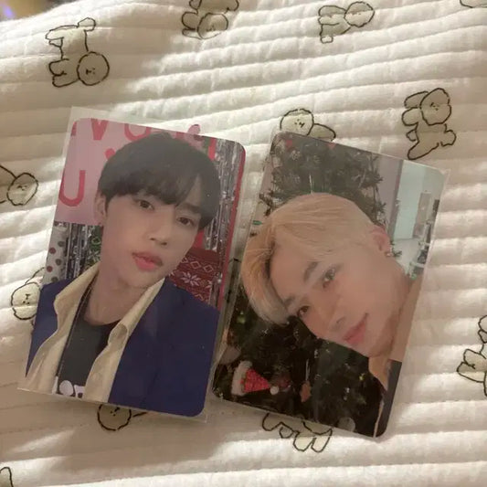 크리스마씨 더보이즈 찬 뉴