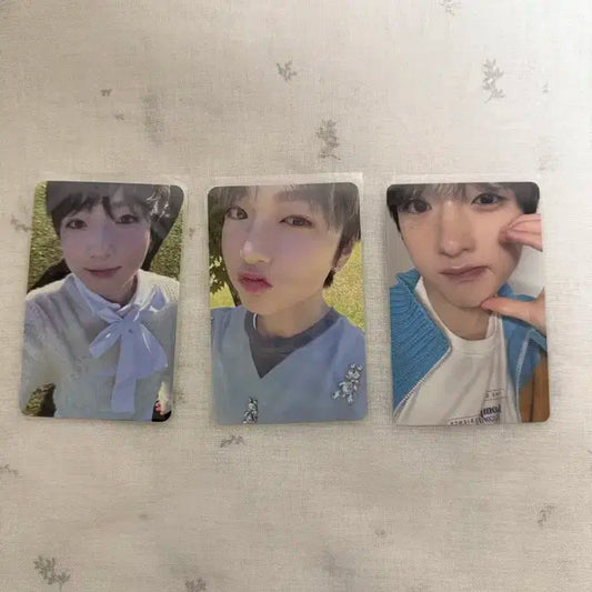 엔시티 위시 사쿠야 포카 3종 일괄