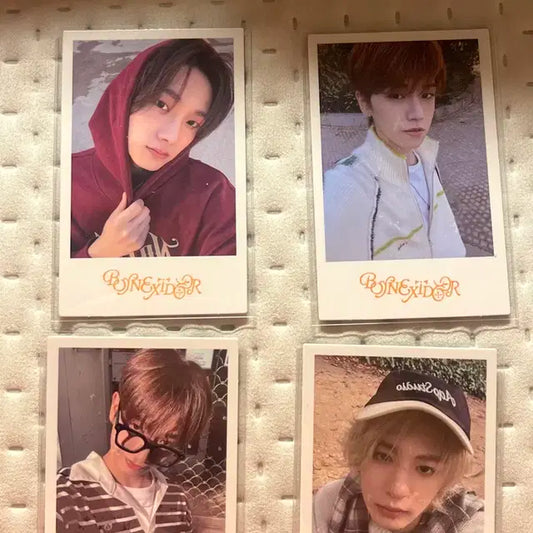 보넥도 콜렉트북 폴라