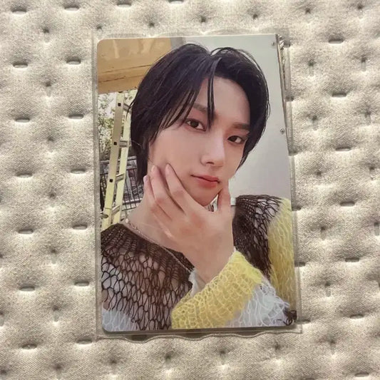 보넥도 성호