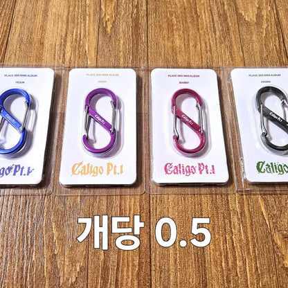 플레이브 공식 포카 비공포,특전,앨포,학생증,빼빼로,qr,카라비너 등등