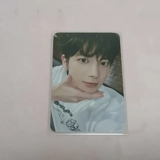 디마뮤 생츄어리 태현