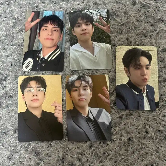 데이식스 콘서트 팬미팅 MD 데니멀즈 포카 악기키링 성진 영케이 원필