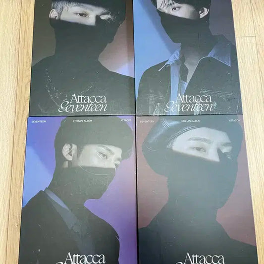 세븐틴 캐럿반