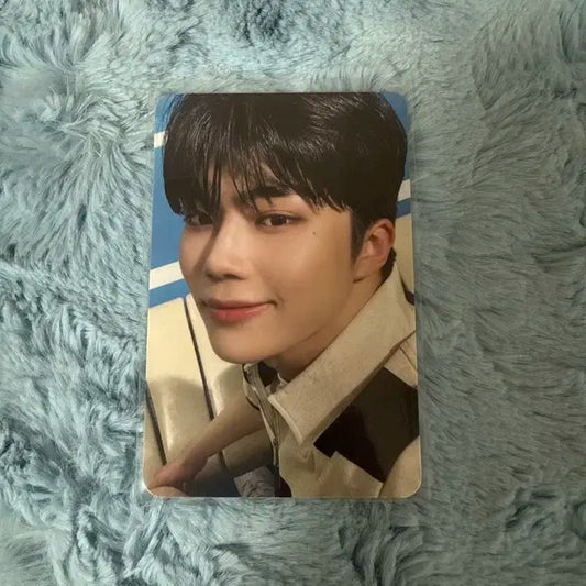 제베원 앨포 건욱