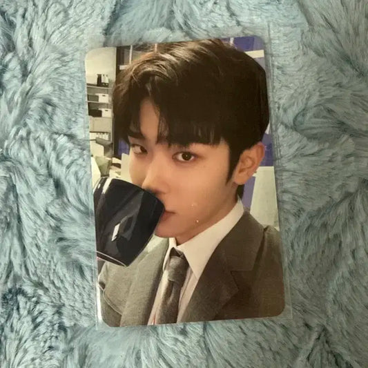 제베원 앨포 태래