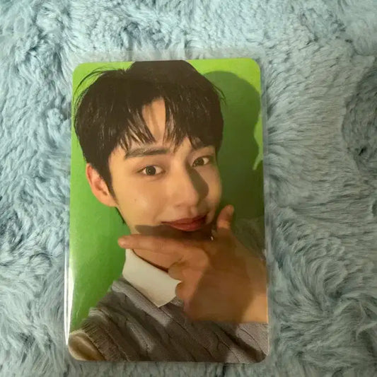제베원 앨포 지웅