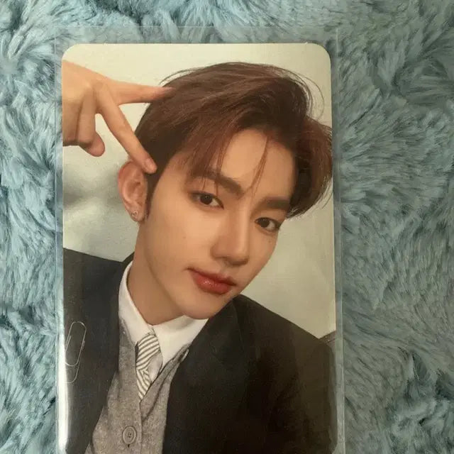 제베원 앨포 하오