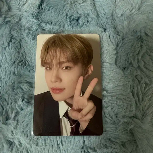 제베원 앨포 태래