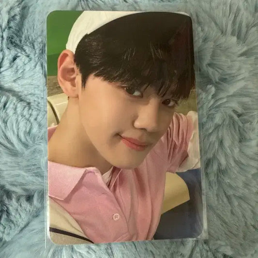 제베원 앨포 규빈