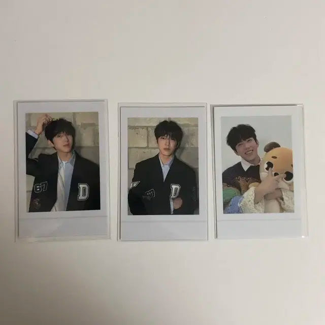 데이식스 도운 데니멀즈 폴라로이드