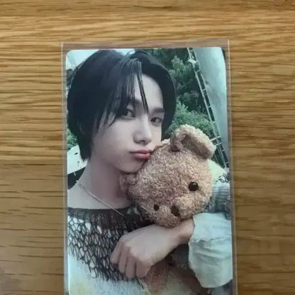 보넥도 성호 포카 why dazed 곰돌이 포카 양도