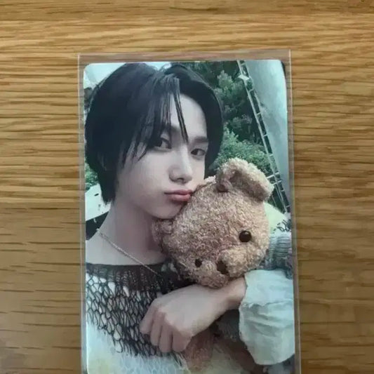 보넥도 성호 포카 why dazed 곰돌이 포카 양도