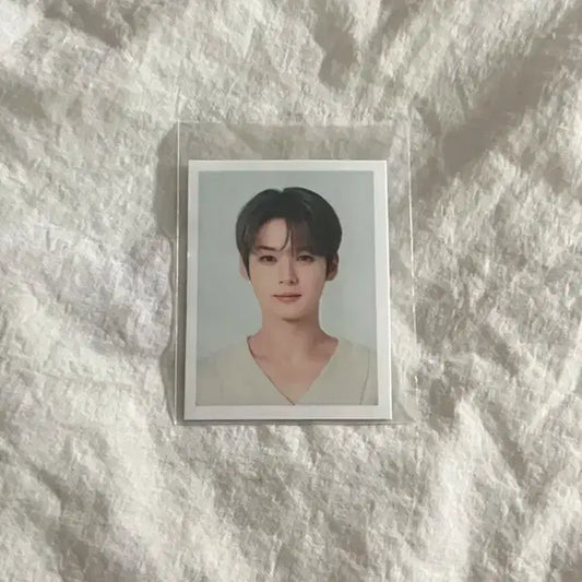 스트레이키즈 스키즈 리노 네시픽 증사