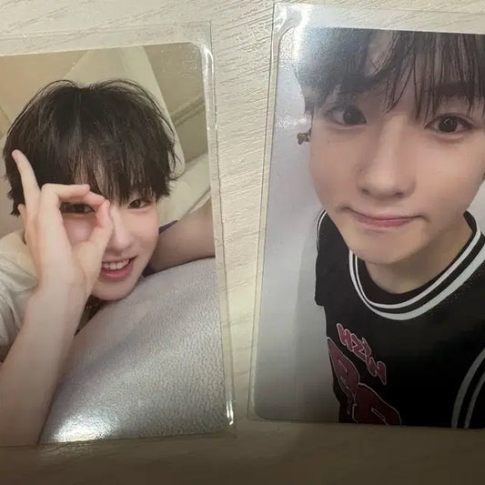 엔시티 위시 사쿠야 포카 포토카드 nct wish 스테디