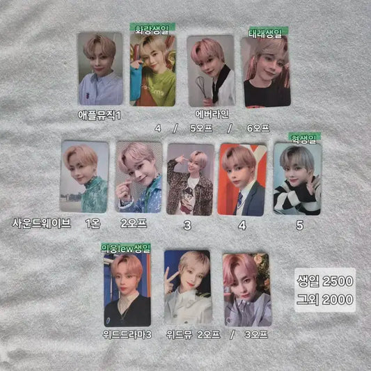 템페스트 한빈 미공포 미니 1집 포카