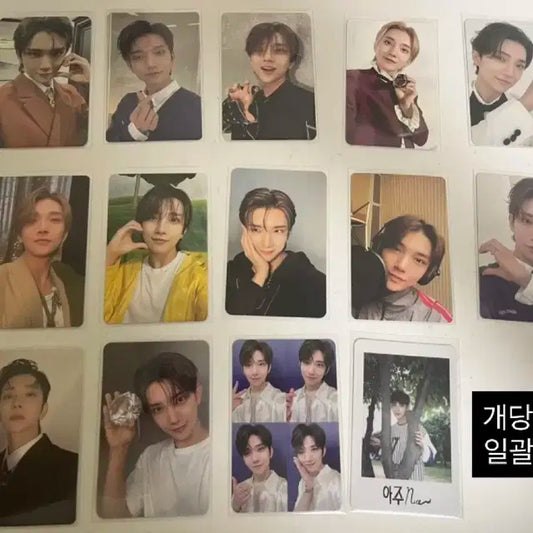세븐틴 포카 판매(뒤로 넘기시면 더 있어요)