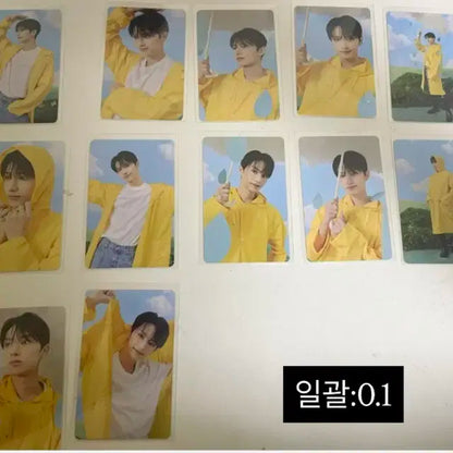 세븐틴 포카 판매(뒤로 넘기시면 더 있어요)