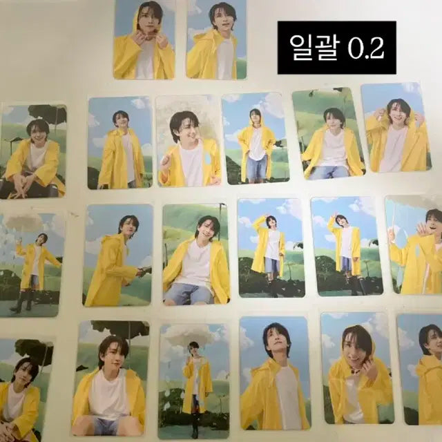 세븐틴 포카 판매(뒤로 넘기시면 더 있어요)