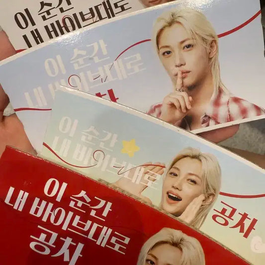 공차 필릭스 컵홀더 일괄
