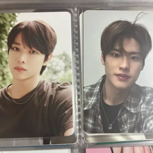 라이즈 포카판매