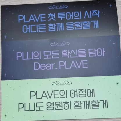 플레이브 콘서트 빅포카+플리존 포카세트+슬로건3종
