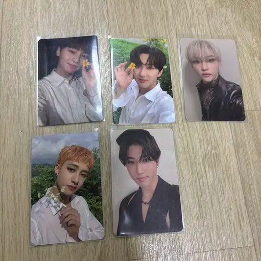 [일괄]스트레이키즈 스키즈 포카 앨범포카 특전포카 한정판