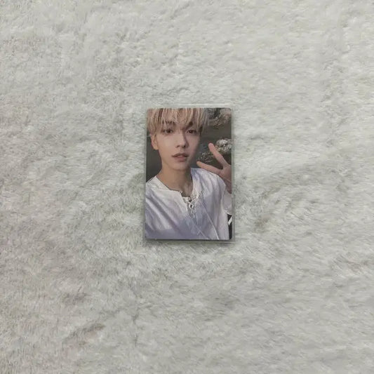 슈러라 수빈 판매