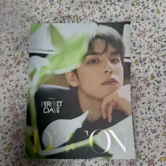 데이식스 원필 디아이콘 잡지 B