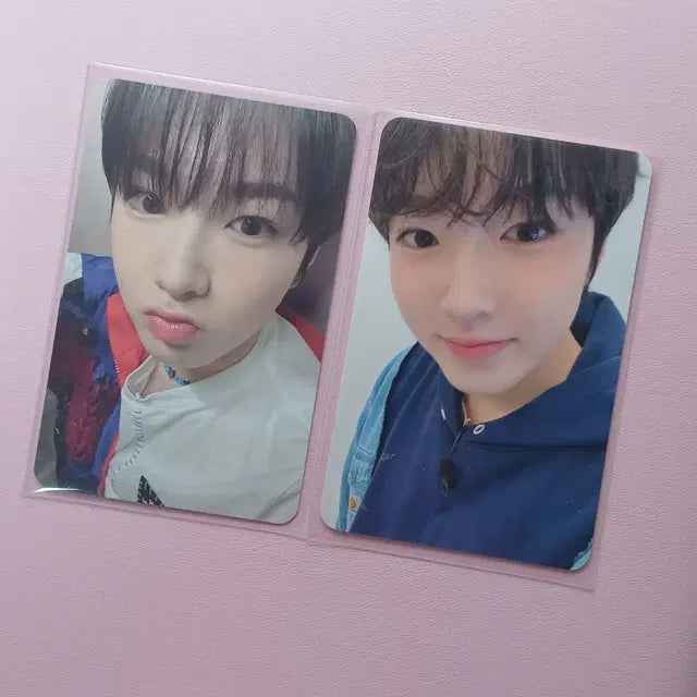 엔시티 위시 사쿠야 위드뮤 럭드 포카 양도 판매 최저가