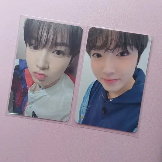 엔시티 위시 사쿠야 위드뮤 럭드 포카 양도 판매 최저가