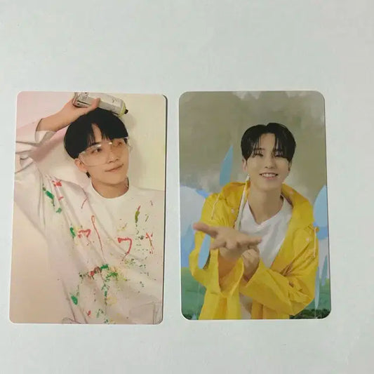 세븐틴 정한 호시 포카
