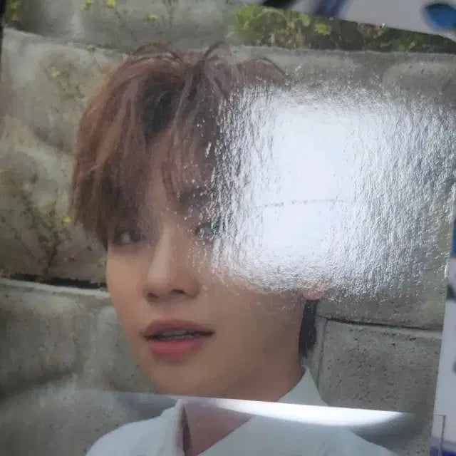 제베원 태래 앨범 구성품 앨포 시네마파라다이스 인블룸