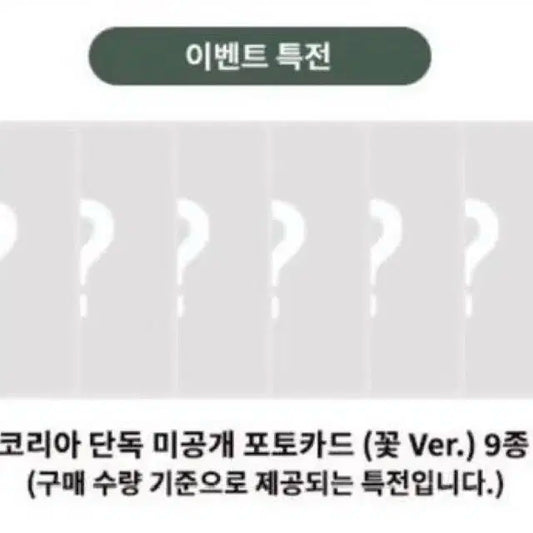 제베원 정규 분철 뮤직코리아 꽃 제로베이스원 NEVER SAY NEVER