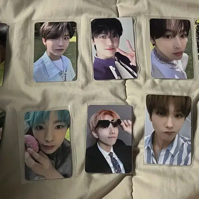 nct 127,wish,dream 포카 일괄 판매