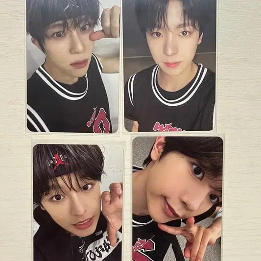 스테디 큐알 포카