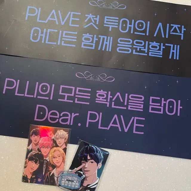 플레이브 콘서트 포카, 슬로건, 여권 스티커
