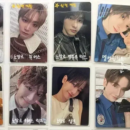 보이넥스트도 일괄 대량 양도 명재현 태산 성호